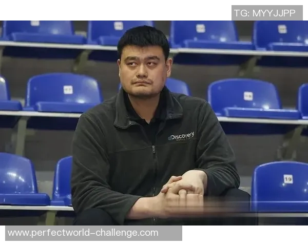 姚明在中国篮球界的官位与影响力分析及其对体育发展的贡献