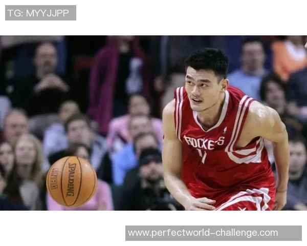 姚明热衷网络游戏揭秘：从篮球场到虚拟世界的全新挑战与乐趣