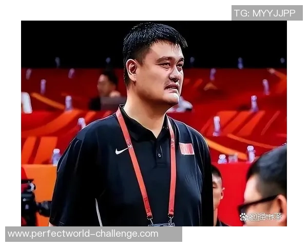 姚明综合评分分析：探讨其在篮球历史中的地位与影响力