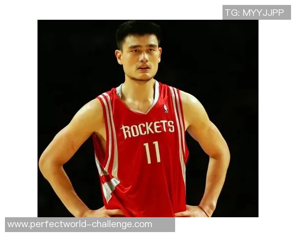 姚明的篮球之路与人生哲学探讨：从球场到人生的启示与反思